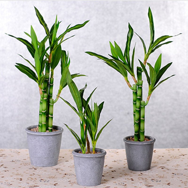 Yeni 40cm Yapay Şanslı Bambu S - Dracaena Marginata incelemesi ve fiyatı