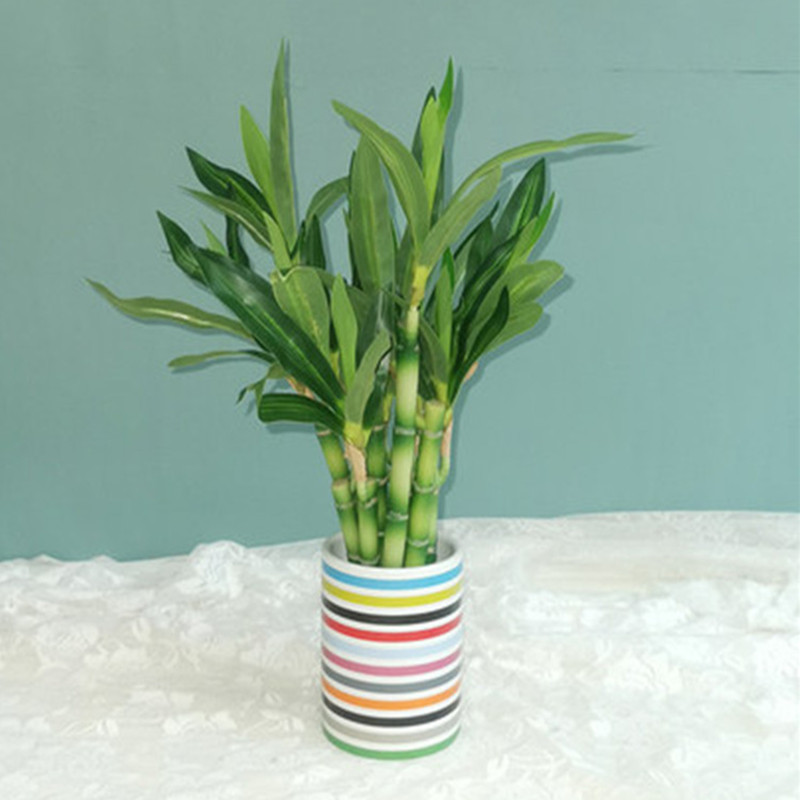 Yeni 40cm Yapay Şanslı Bambu S - Dracaena Marginata incelemesi ve fiyatı