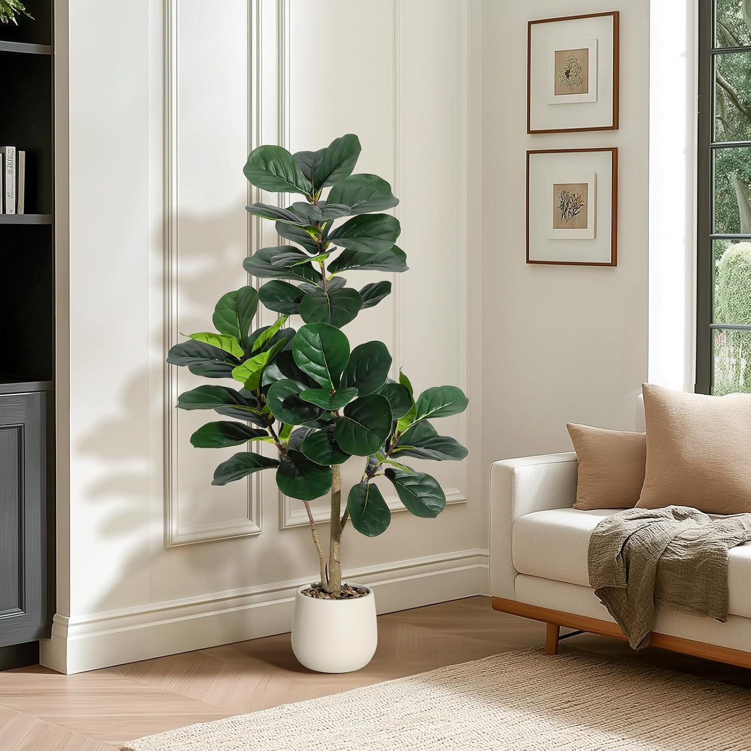 4 ft (1,2 metre) yüksekliğinde - Ficus Lyrata Tree incelemesi ve fiyatı