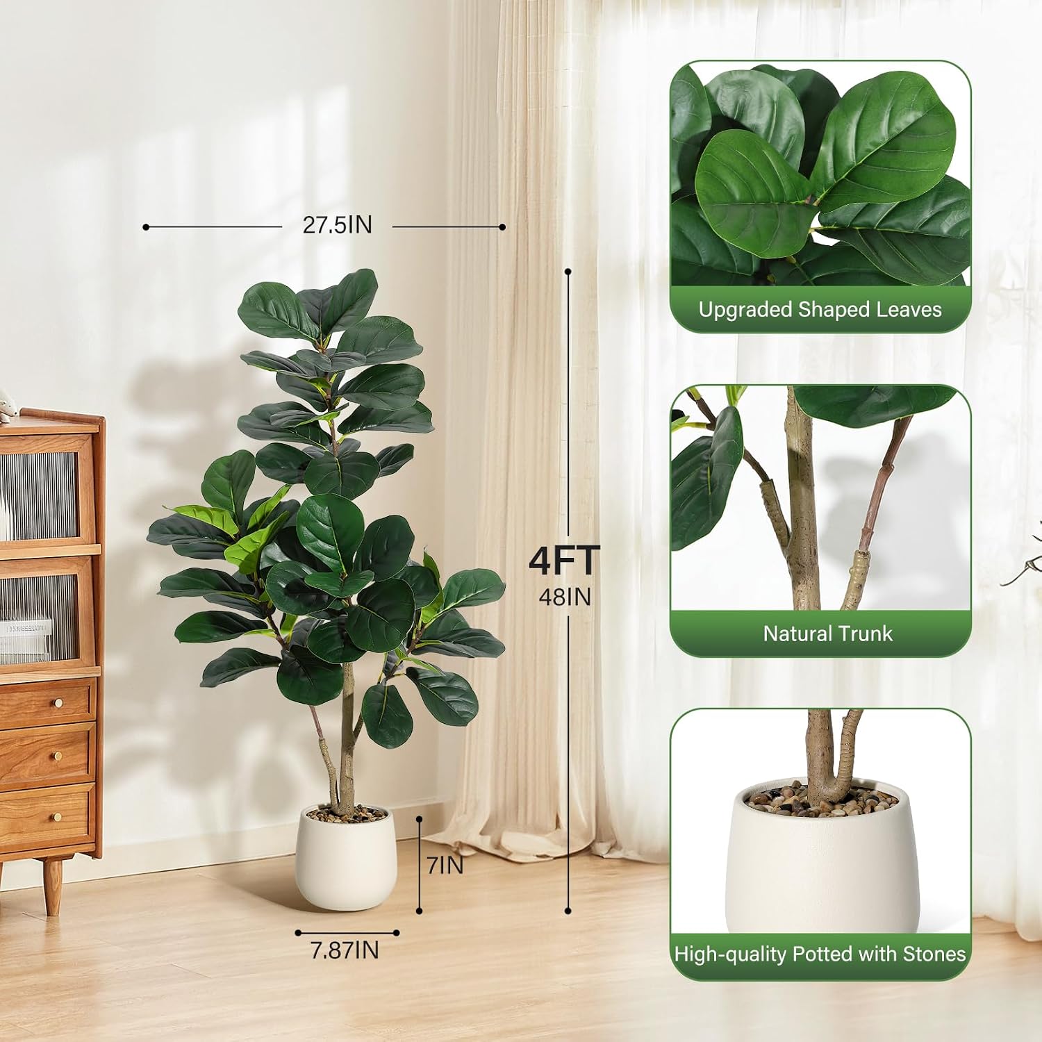 4 ft (1,2 metre) yüksekliğinde - Ficus Lyrata Tree incelemesi ve fiyatı