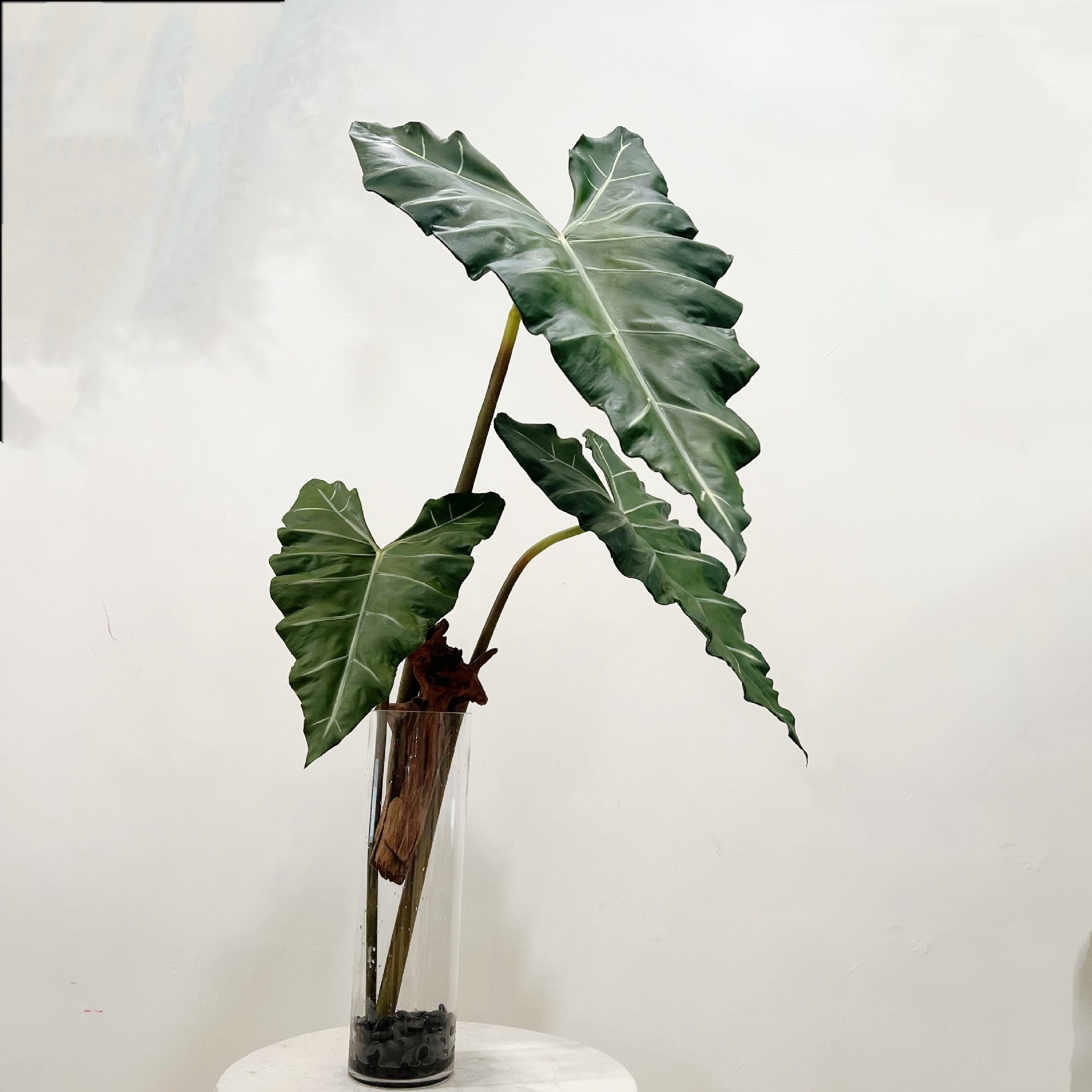 Simüle Uzun PU El-hisset Yeşil - Dracaena Marginata incelemesi ve fiyatı